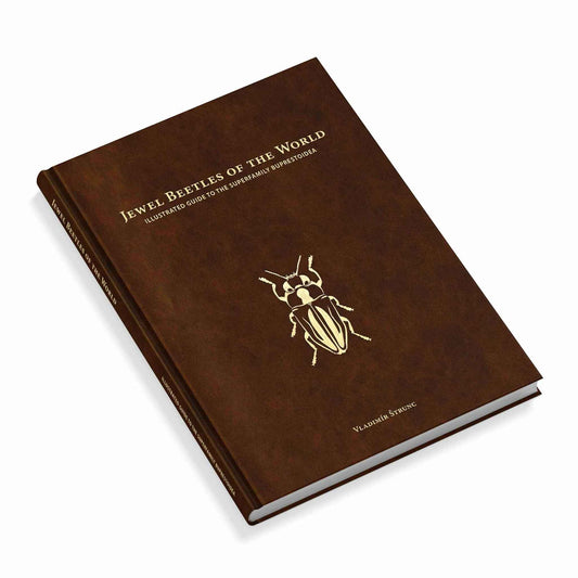 Krasci - Nejkrásnější brouci, Buprestidae