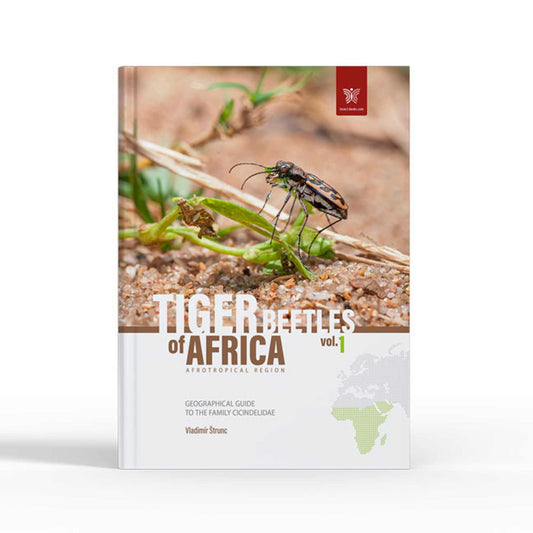 Svižníci Afriky - Tygři, Cicindelidae
