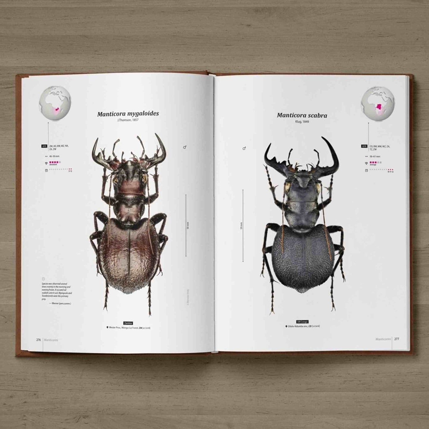 Tiger Beetles of Africa, Cicindelidae