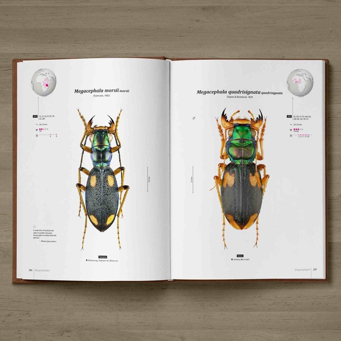 Tiger Beetles of Africa, Cicindelidae